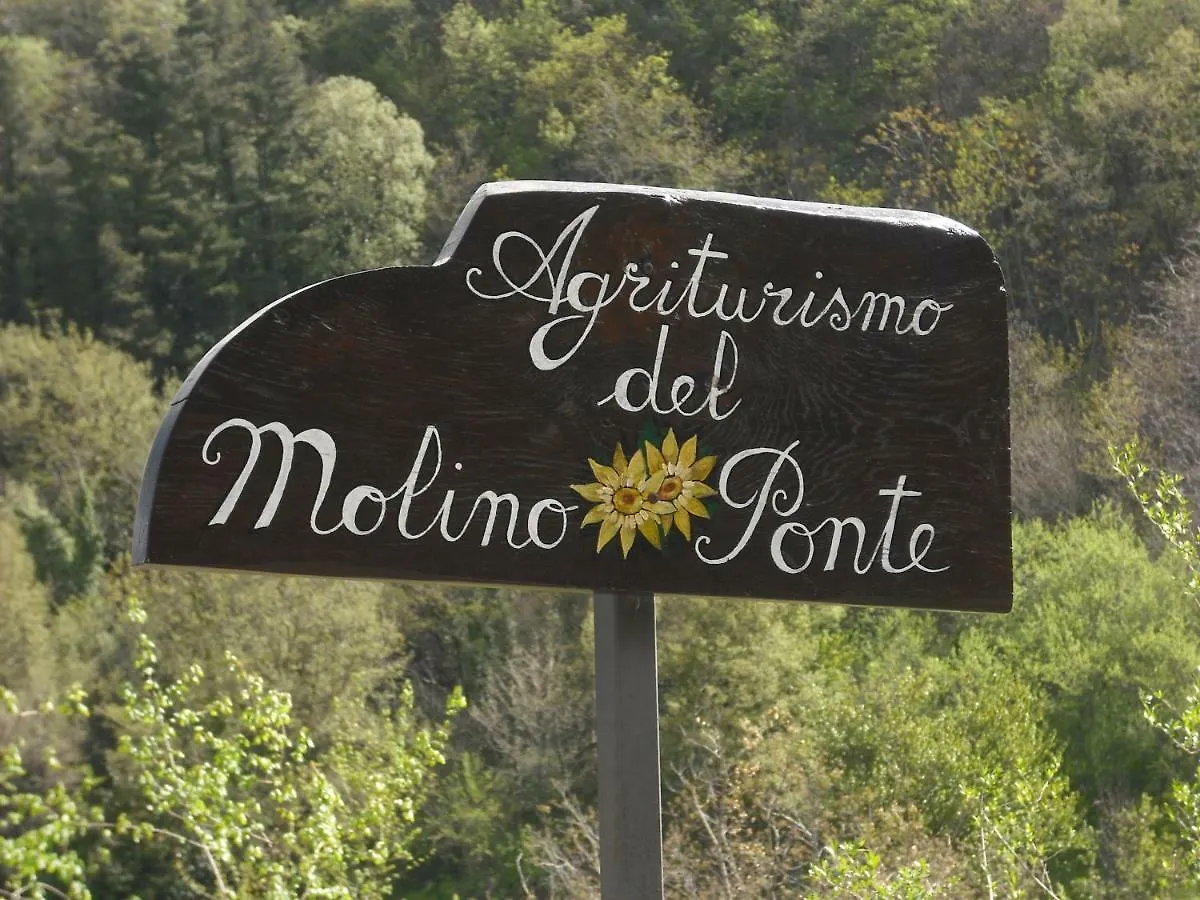 Agriturismo Molino Del Ponte Arcidosso